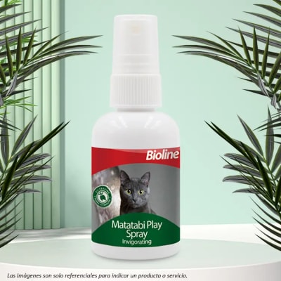 Bioline Matatabi Spray Incentivo de Juego para Gatos1