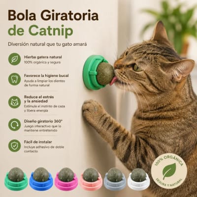 Bola de Catnip Giratoria