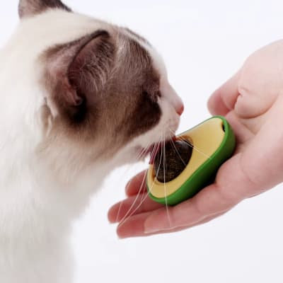 Palta con Catnip Giratorio 6 x 4 cm