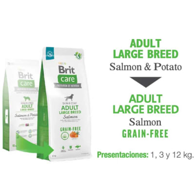 Brit Salmón Raza Grande1