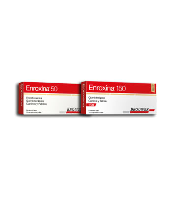 Enroxina 10 Comprimidos