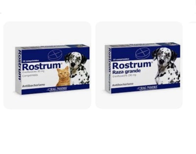 Rostrum 10 comprimidos