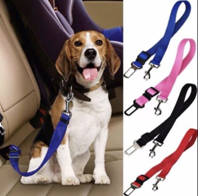 Cinturón de Seguridad para Perros y Gatos 70 cm