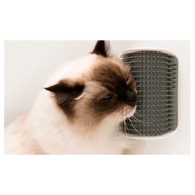 Catit Masajeador de Pared