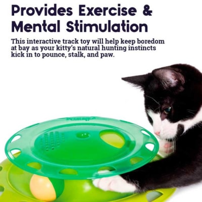 Catstages Circuito Cazador de Catnip 22 cm1