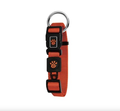 Doco Collar Perro Oring Naranjo