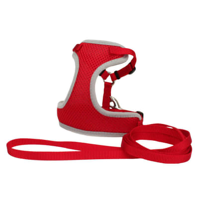 Coastal Arnes Soft Gatos Rojo Pecho 35 a 40 cm