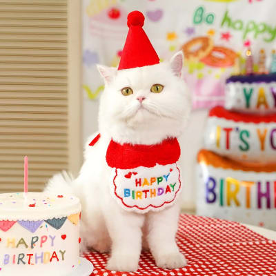 Set De Bufanda con Gorro Cumpleaños Para Mascotas1