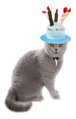  Gorro Cumpleaños con Velas Celeste para Gatos y Perros Pequeños
