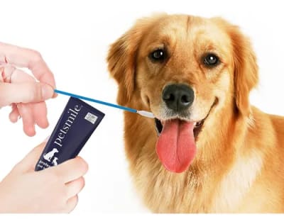 Petsmile Aplicadores Pasta Dental Mascotas 50 Unidades