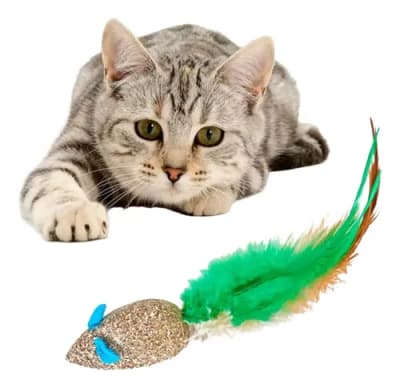 Ratón de Catnip Prensado 5 cm