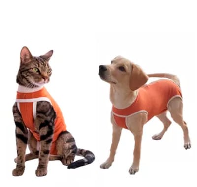 Body de Cobre Post Quirúrgica Perros y Gatos