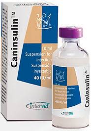 Caninsulin 40 IU/ml1