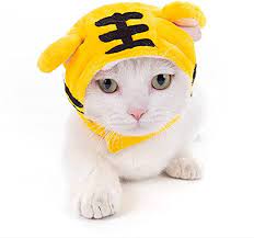 Gorro Tigre