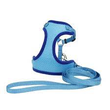 Coastal Arnes Soft Gatos Celeste Pecho 35 a 40 cm