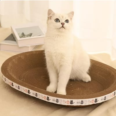 Rascador Gato Catón Ovalado 52x36 cm