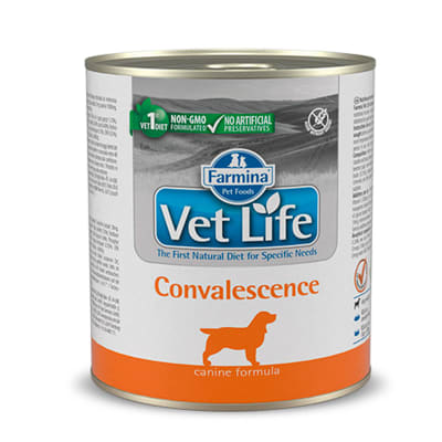 Vet Life Perro Convalecencia 300 gr1