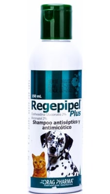 Regepipel 150 ml1