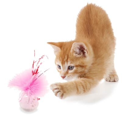 GiGwi Petdroid Melody Tumbler 12 cm