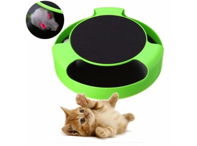 Didáctico Verde con Ratón 25x13 cm1