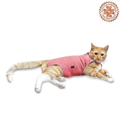 Cunatex Body Post Quirúrgico Gato Rosa1