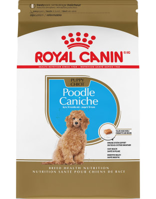 Royal Canin Poodle Junior 3 Kg1