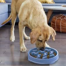 Outward hound Comedero Lento Azul 26 cm1