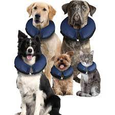 Collar Isabelino Inflable para Perros y Gatos Varios Colores