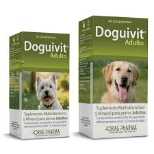 Doguivit Perro Adulto