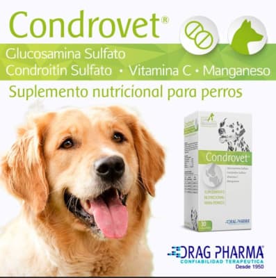 Condrovet Condroprotector Perros 60 Comprimidos1