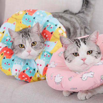 -Collar Isabelino Cojín Diferentes Colores1