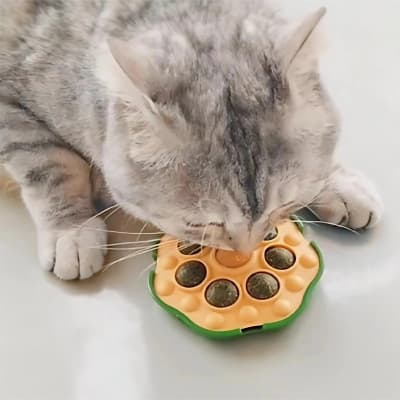 Juguete Para Gato Diseño Flor Con Catnip 10 cm