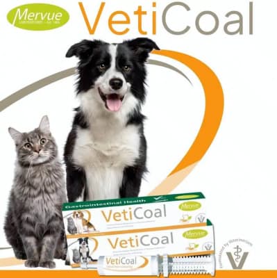 Mervue Veticoal Pasta de Carbón 30 ml