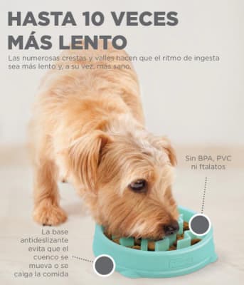 Outward hound Comedero Lento Menta 14,5 cm