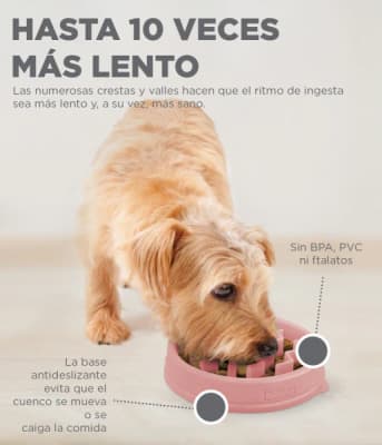 Outward hound Comedero Lento Rosa 14,5 cm1