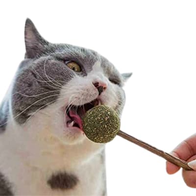 Paleta de Catnip 10 cm de Largo (Contiene 2 Paletas)1