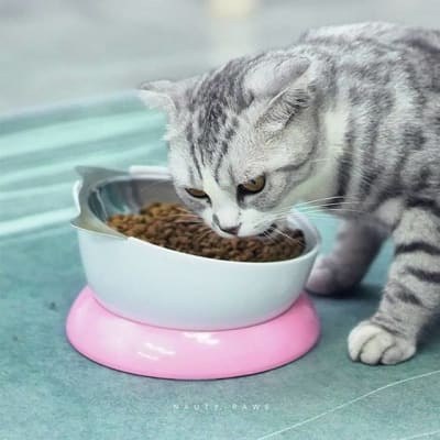 Plato de Gato Rosado con Fondo de Acero Inoxidable 15x9 cm