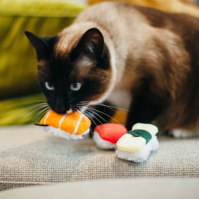 Play juguete feline sushi 3 unidades1