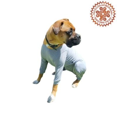 Body Patitas Post Quirúrgico