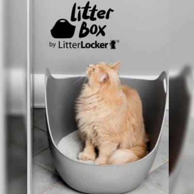 Baño Litter Box con Pala 59x37x41 cm