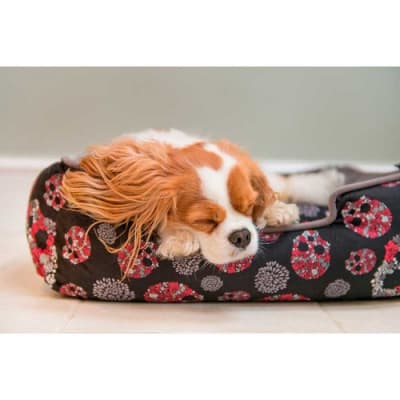 Lounge bed Calaveras y Rosas 60 cm1