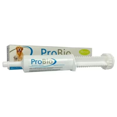 Mervue Probióticos Cachorros y Adultos 60 ml