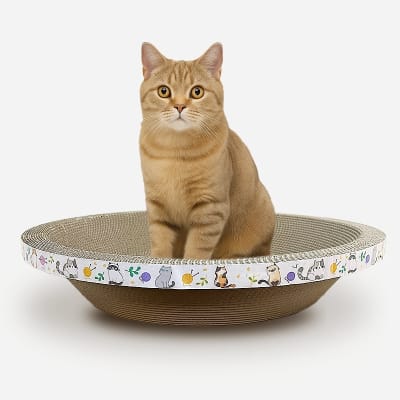 .Rascador Cartón Circular1