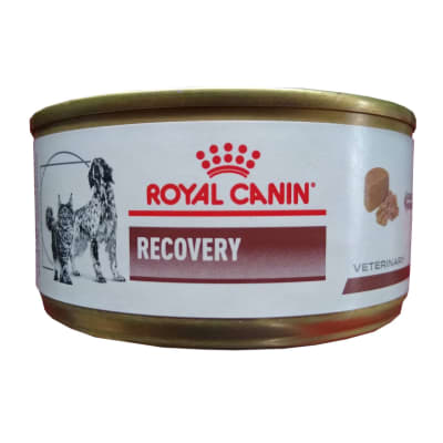 Royal Canin Recovery 145 gr1