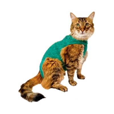 Post Quirúrgica Pet Med para Gatos Verde