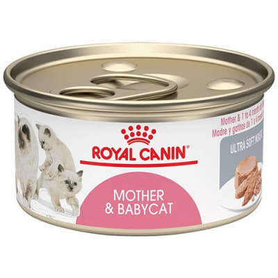 Royal Canin Baby Cat 145 gr1