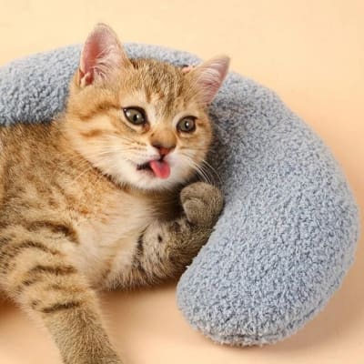 Almohada con Catnip 23x19x7 cm1