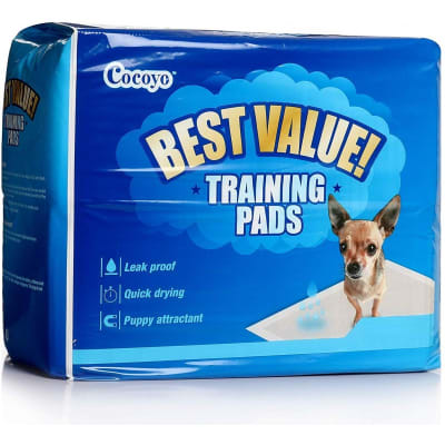 Sabanillas Cocoyo 56x56 cm 200 unidades1