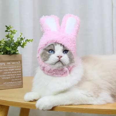 Gorro Conejo Rosado1