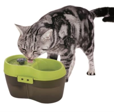 Bebedero Fuente de Agua H2O 2 Litros Verde con Negro1